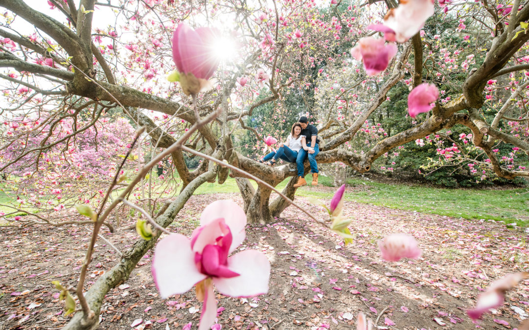 Longwood Garden Engagement Session – Heana & John